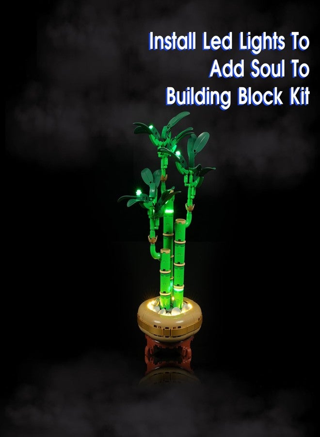 Vaodest مصباح Vaodest LED لمجموعة Lego 10344 Lucky Bamboo (متوافق مع مكعبات بناء Lego 10344، مصباح LED فقط) - Image 3